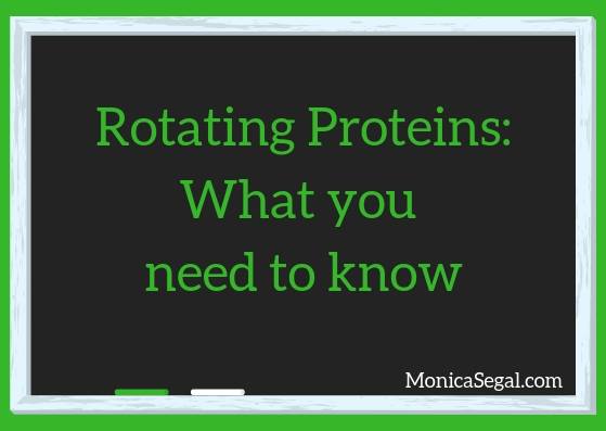 Does Rotating Proteins Guarantee Your Dog Won’t Develop a